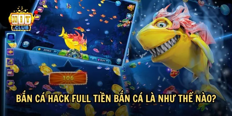 ban ca hack full tien 1 Tìm hiểu về bắn cá hack full tiền
