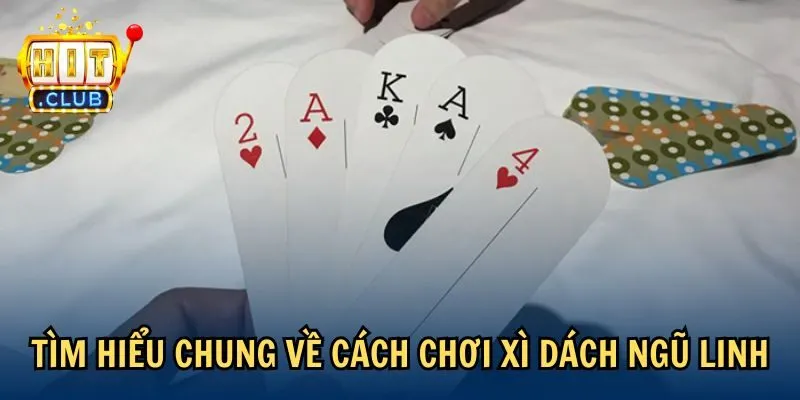 tim hieu cach choi xi dach ngu linh Tìm hiểu chung về cách chơi Xì Dách Ngũ Linh